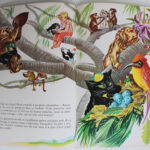 Photo 4 - Caroline aux Indes