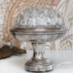 Photo 1 - Pique fleurs lumineux