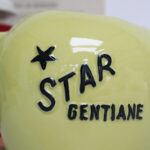Photo 6 - Pichet Star Gentiane