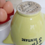 Photo 7 - Pichet Star Gentiane