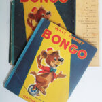 Photo 3 - Bongo