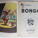 Photo 5 - Bongo
