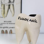 Photo 1 - Dent Fluocaril