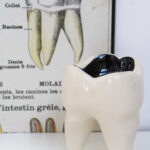 Photo 2 - Dent Fluocaril