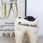Photo 4 - Dent Fluocaril