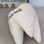 Photo 5 - Dent Fluocaril