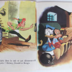 Photo 4 - Peter Pan et Mickey