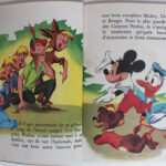 Photo 6 - Peter Pan et Mickey