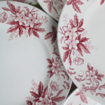 Photo 9 - Vaisselle St Amand Anémone