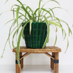 Photo 4 - Cache pot St Clément