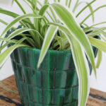 Photo 5 - Cache pot St Clément