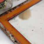 Photo 5 - Miroir Lion Noir