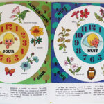 Photo 5 - Petit Tom et les secrets des bois