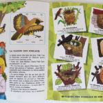 Photo 6 - Petit Tom et les secrets des bois