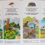 Photo 7 - Petit Tom et les secrets des bois