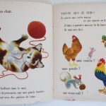 Photo 4 - Sais-tu qui je suis ? un livre devinette