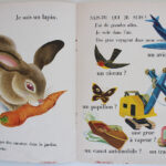 Photo 5 - Sais-tu qui je suis ? un livre devinette