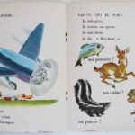 Photo 6 - Sais-tu qui je suis ? un livre devinette