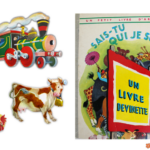 Sais-tu qui je suis ? un livre devinette