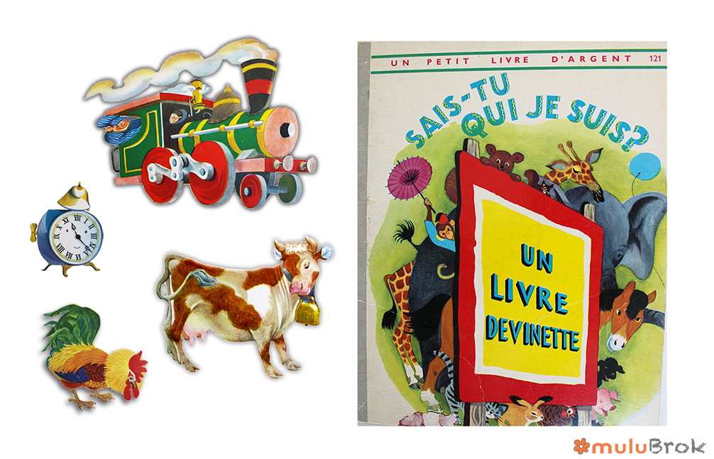 Sais-tu qui je suis ? un livre devinette