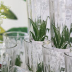 Photo 4 - Verre Muguet