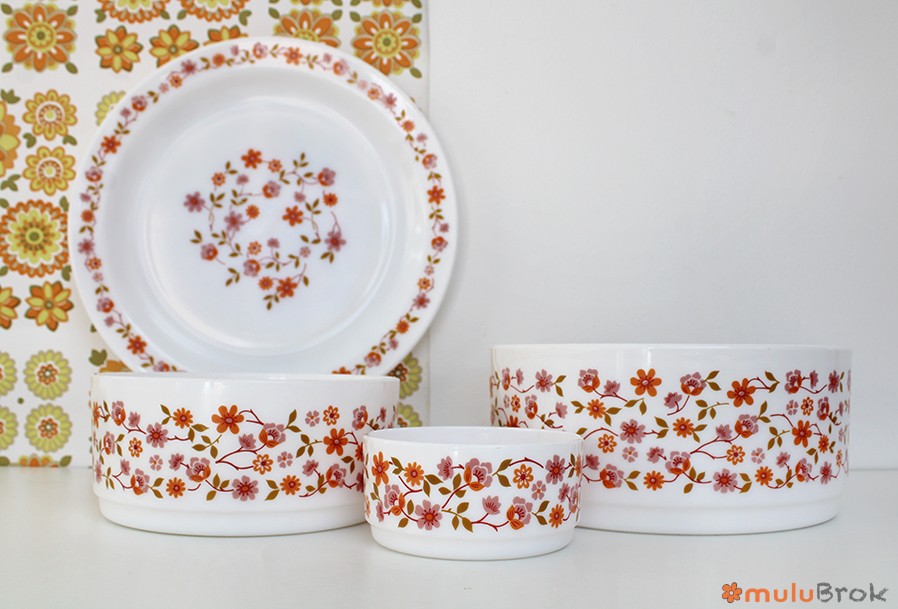 Vaisselle Arcopal Scania