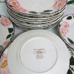 Photo 6 - Vaisselle Villeroy et Boch Wild Rose