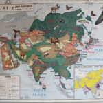Photo 4 - Carte Amérique du Nord / Asie
