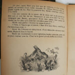 Photo 9 - Bambi