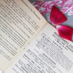 Photo 6 - Livret de Veules les Roses