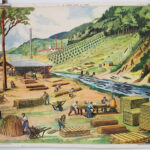Photo 1 - Affiche Le port de pêche / Travail dans la forêt