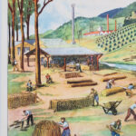 Photo 2 - Affiche Le port de pêche / Travail dans la forêt