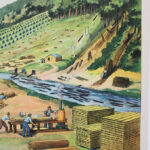 Photo 3 - Affiche Le port de pêche / Travail dans la forêt