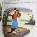 Photo 3 - Goufy et le canard de bois