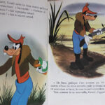 Photo 5 - Goufy et le canard de bois