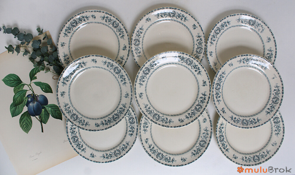 Assiette SFNGR Thermidor
