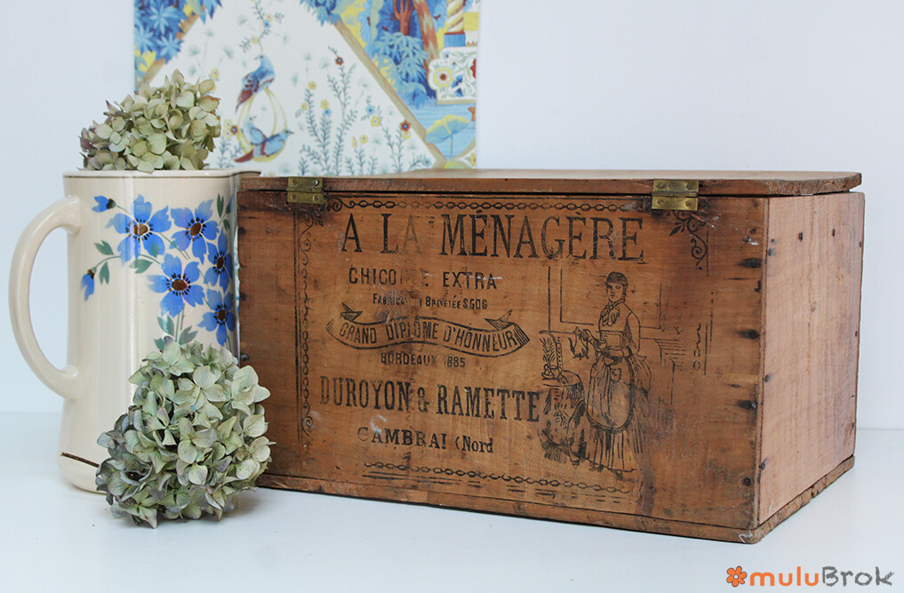 Caisse A la ménagère Chicorée Extra