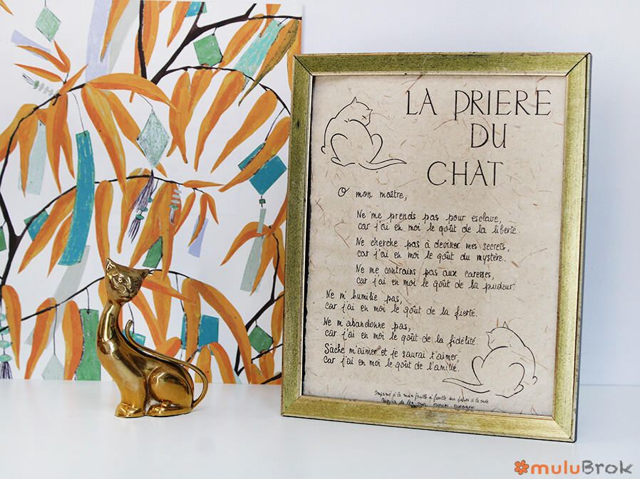 La prière du chat