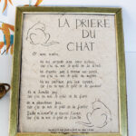 Photo 1 - La prière du chat